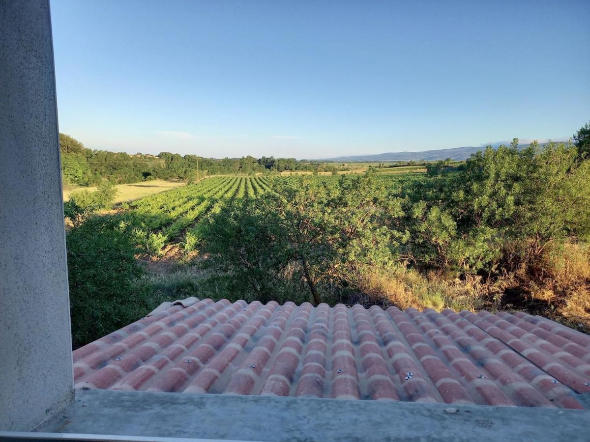 فيلا Domaine Saint Augustin Rieux-Minervois المظهر الخارجي الصورة