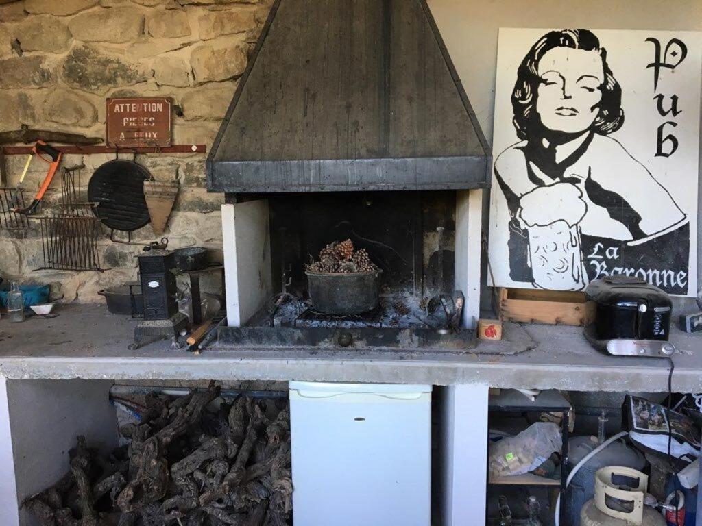 فيلا Domaine Saint Augustin Rieux-Minervois المظهر الخارجي الصورة